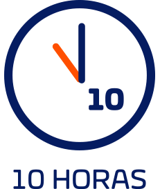 Servicio 10 horas